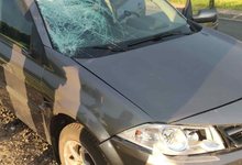 На трассе в Кировской области водитель иномарки насмерть сбил пешехода
